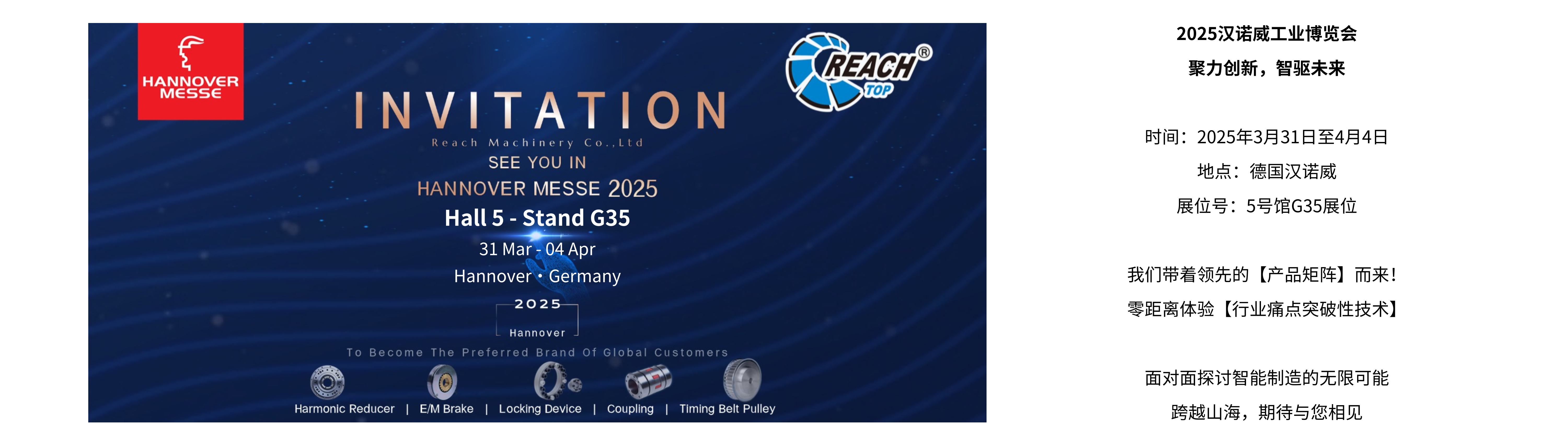 你的段落文字 (5).png